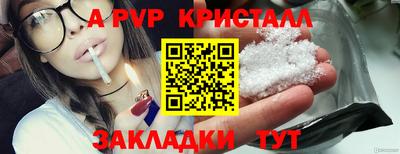 кокс Нальчик