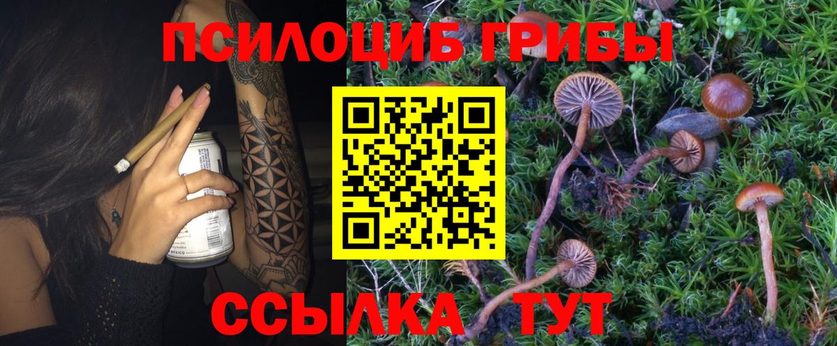 Ульяновск  закладка  Вход с VPN  Галлюциногенные грибы Psilocybine cubensis 