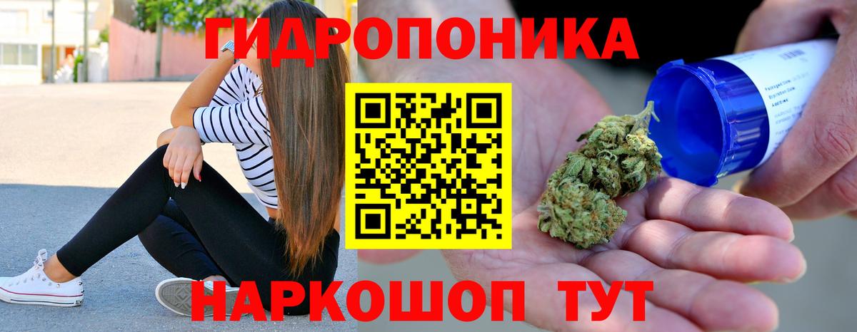 Конопля гибрид Ульяновск